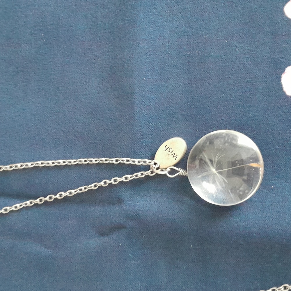 Vintage real dandelion wish 19" chain.